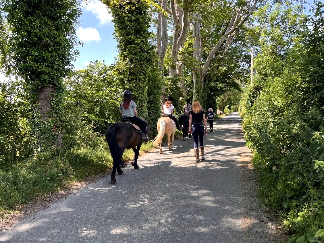 Students horse riding along a tree-lined country lane