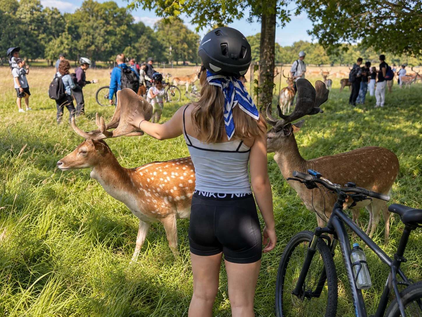 Cycling excursion with deer in Phoenix Park