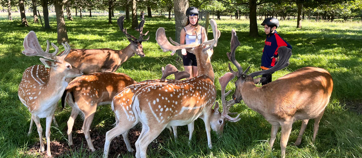 Teenagers exploring Phoenix Park in Dublin